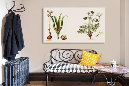 Tableau déco Crocus et anémone