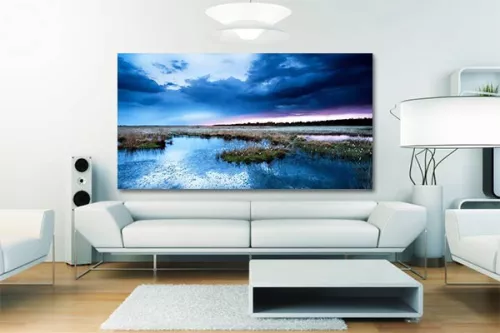 Tableau photo Marécage