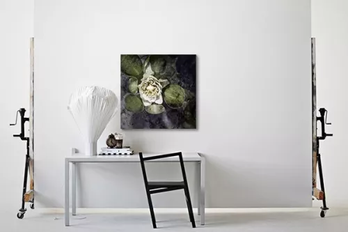 Tableau déco fleur aquatique