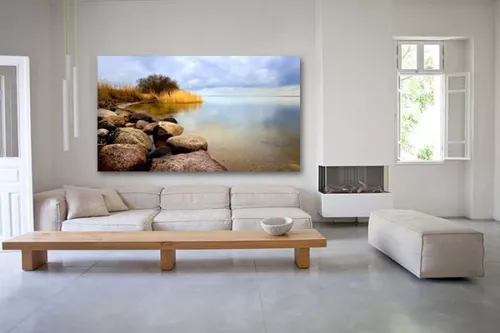 Tableau déco coraux vermeilles