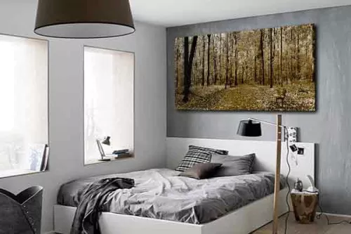 Tableau photo Bois sépia