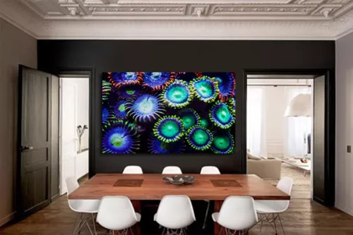Tableau déco Coraux 