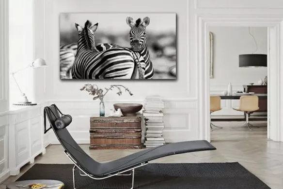 Tableau déco Zèbres de Namibie