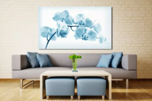 Tableau zen Orchidée translucide