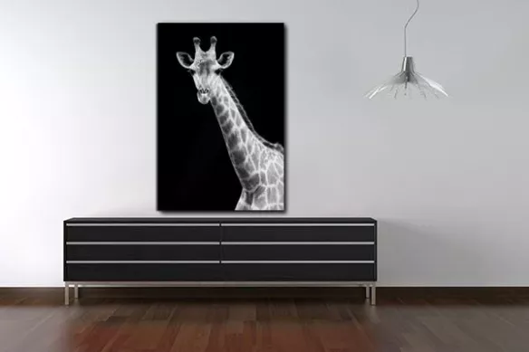 Tableau photo Girafe noir et blanc