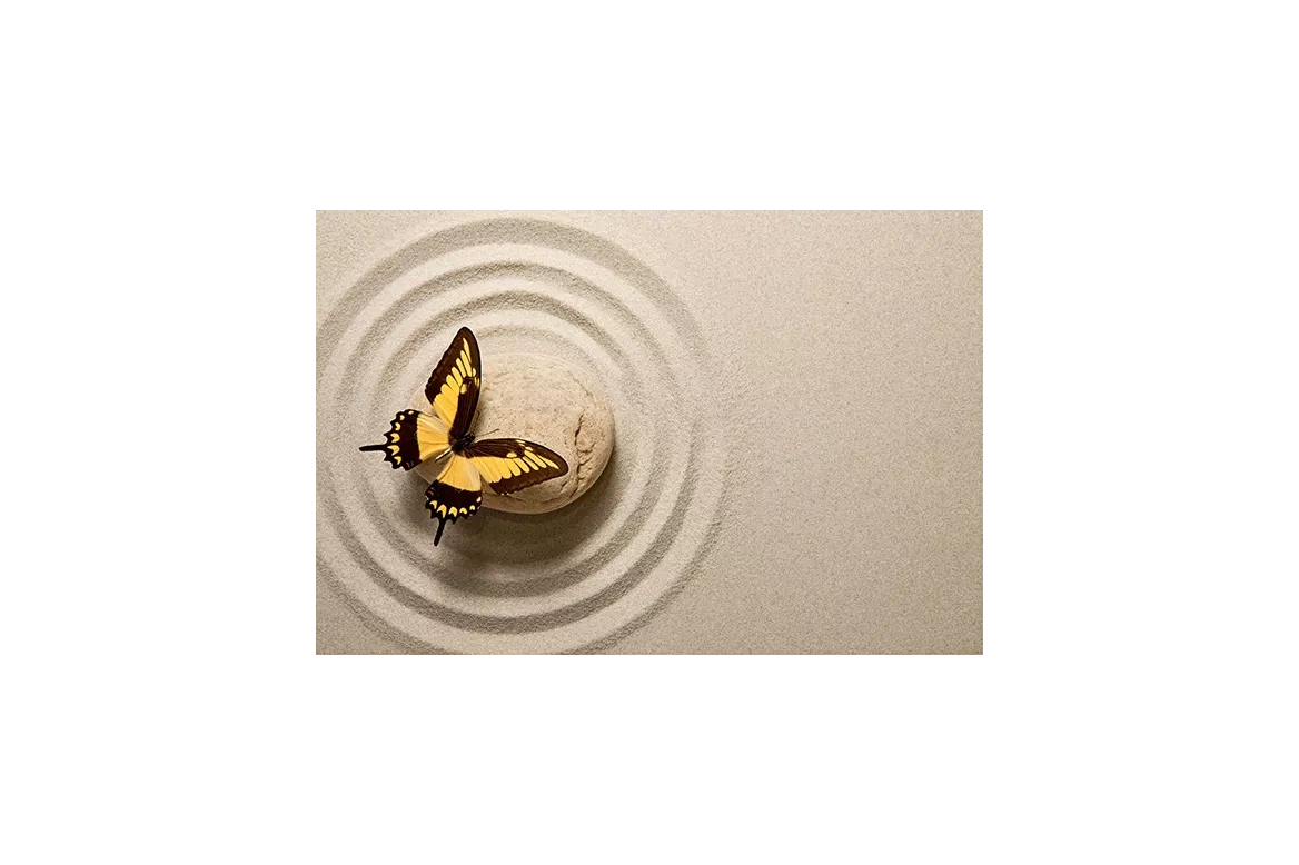 Tableau déco Papillon Zen