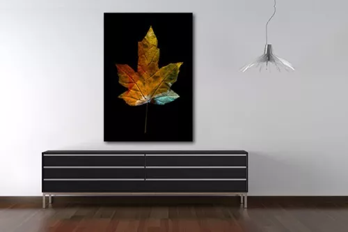 Tableau décoration érable