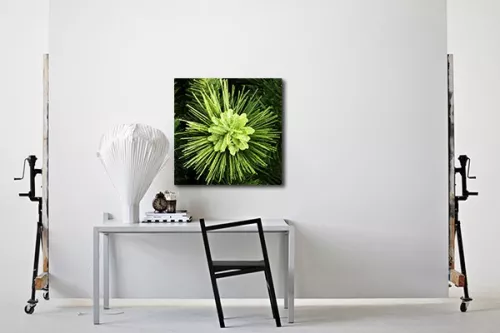 Tableau décoration plante pailletée