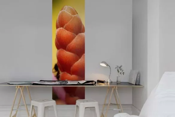 Papier peint trompe oeil frise fleur murale Ananuca