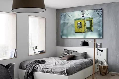 Toile Photo Moineau décor Hivernal