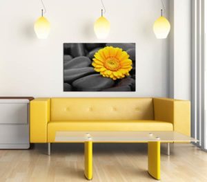 sweet_flower_jaune sweet_flower_jaune