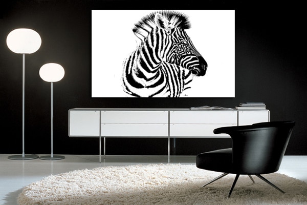 Tableau zèbre noir et blanc