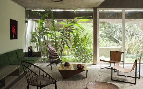 déco intérieure plante végétale